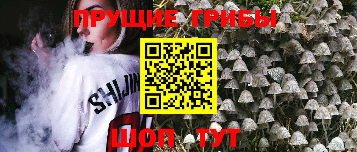 Галлюциногенные грибы GOLDEN TEACHER Новосибирск