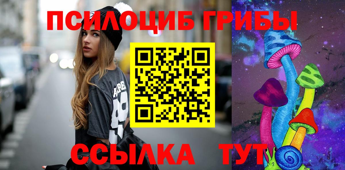 Галлюциногенные грибы Psilocybe  Вход с VPN  закладки  Новосибирск 